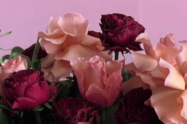 Jen’s Flowers